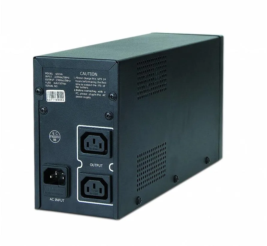 Noodstroomvoeding 650 VA with AVR