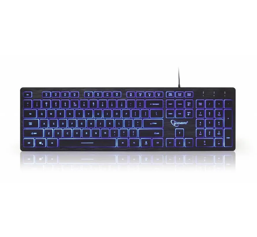 Multimedia keyboard with BackLight