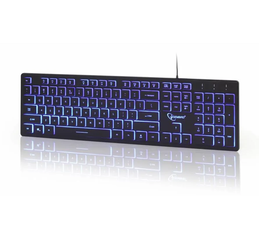 Multimedia Tastatur mit BackLight