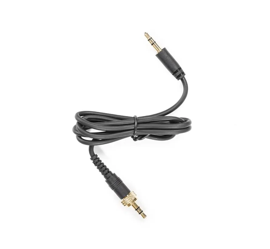 LavMic dasspeld microphone