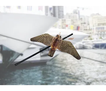 StopGull Falcon bird deterrent