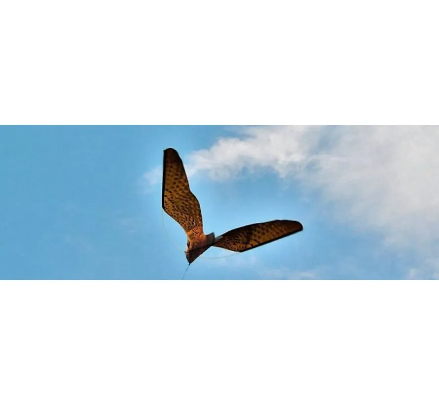 Falcon bird deterrent for boats and marinas with optional 5 or 7 metre pole