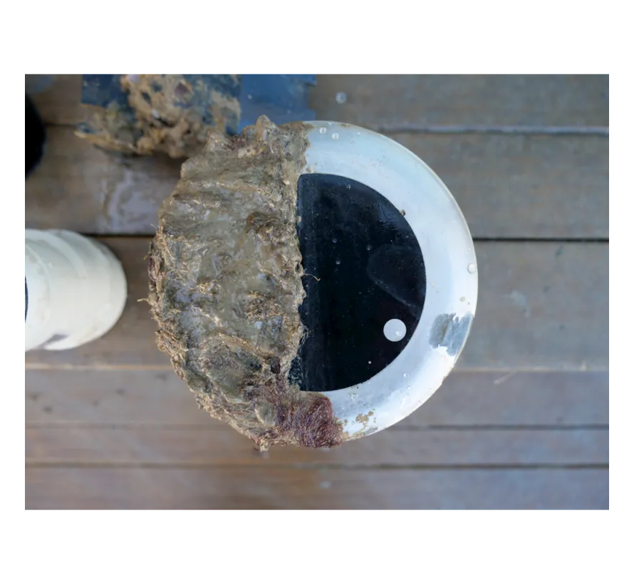 Transducer Coating to prevent fouling on the transducer