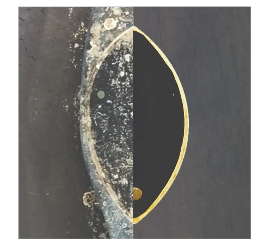 Transducer Coating to prevent fouling on the transducer