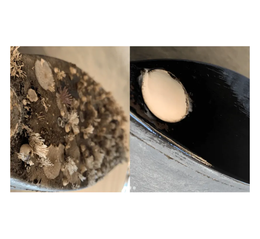 Transducer Coating to prevent fouling on the transducer