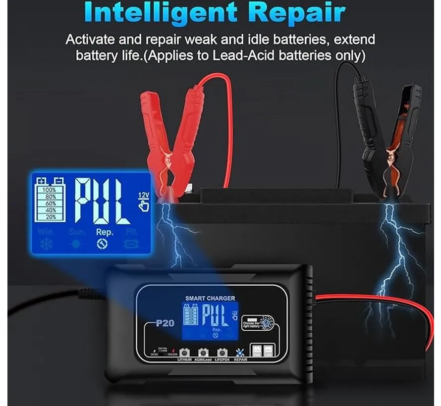 Smart LiFePO4 charger 12V/24V 20A for lithium and lead-acid batteries