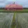 Oud roze Bali parasol met goud