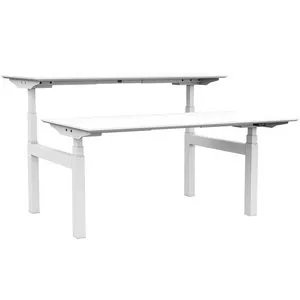 Ergopro Professional duo 65-130 cm electric sit/stand desk incl. free assembly