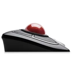 Kensington Expert Mouse wireless trackball mouse