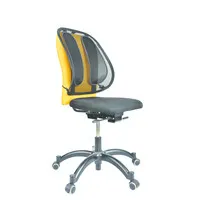 Fellowes 8035001 Office Suites Microban Footrest
