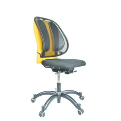 Fellowes Office Suites™ Mesh Back Support