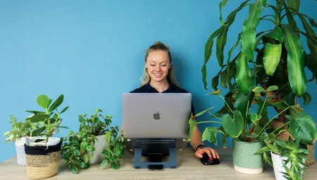 5 ideale kantoorplanten