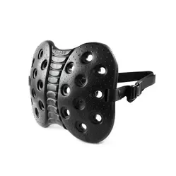 BackJoy Lumbar support backrest