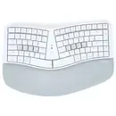 Kinesis mWave gesplitst mechanisch toetsenbord voor Mac Kinesis mWave gesplitst mechanisch toetsenbord voor Mac