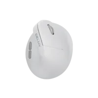 Delux AIR Gaming wit draadloos rechtshandig