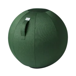 Vluv BOL LEIV Exercise Ball Pine
