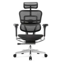 Comfort Ergohuman Elite2 office chair with fabric seat black - NetNietNieuwtje
