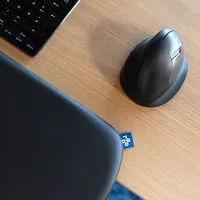 R-Go  Ergonomic armrest
