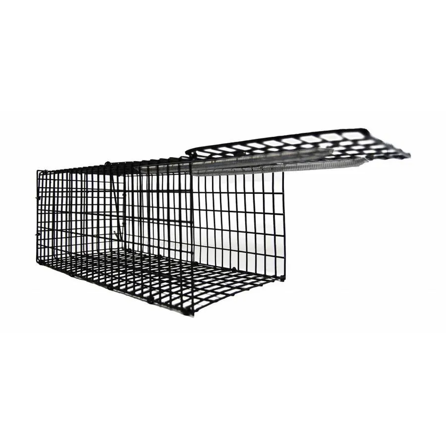 Grote rattenvangkooi 32 x 15 x 13,5 cm | levend vangen