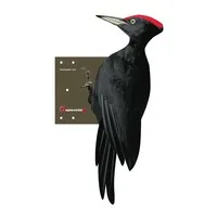 Zwarte Specht verjager 53 x 22 cm | aluminium vogelverjager