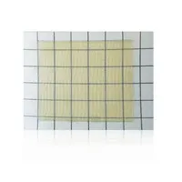Insecten lijmplaat met lokstof 7,5 x 6 cm voor kruipende insecten