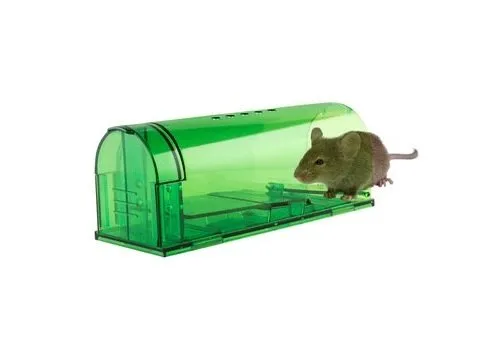 AllesTegenOngedierte.nl Muizenval levend vangend | 17 x 6 x 6,5 cm