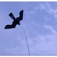 Vogelverschrikker vlieger complete set met 7 meter mast en grondanker