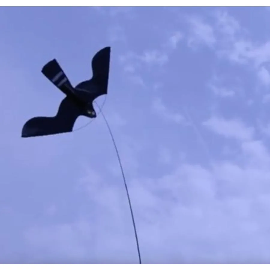 Vogelverschrikker vlieger complete set met 7 meter mast en grondanker