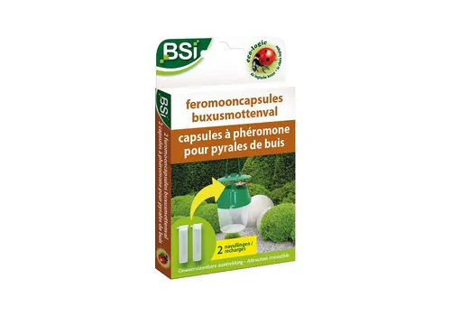 BSI Feromooncapsules voor buxusmot