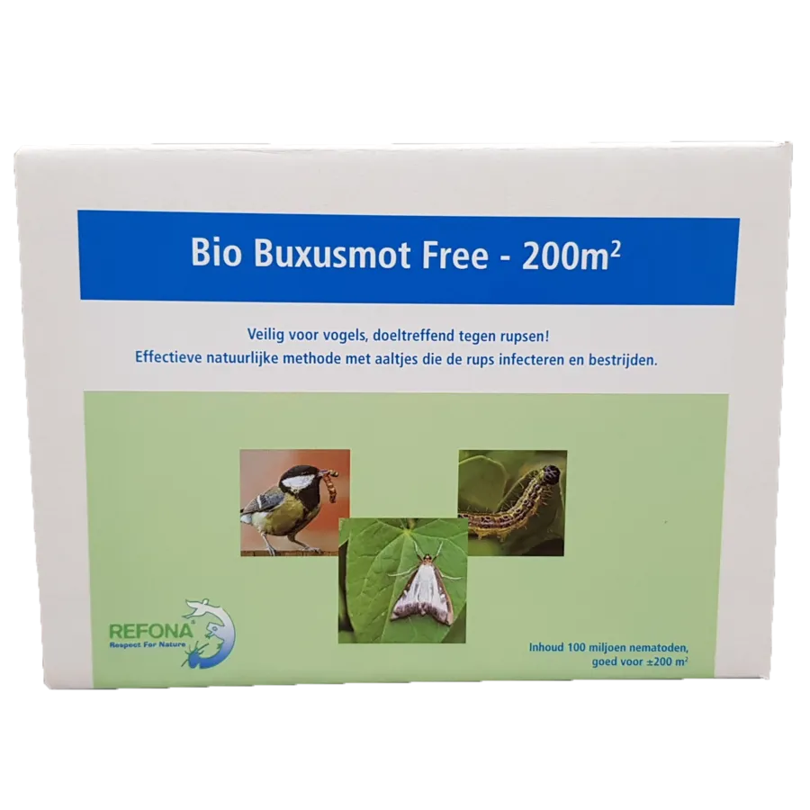Aaltjes tegen de buxusrups voor 200 m² | biologische bestrijding