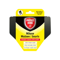 Muizen lokdoos met sleutel 14 x 12 x 4 cm voor lokaas