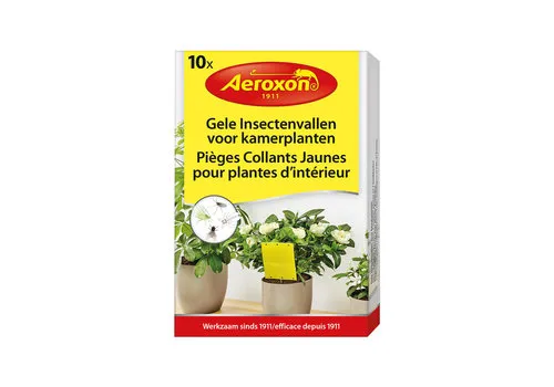 Aeroxon Gele insectenvallen voor kamerplanten