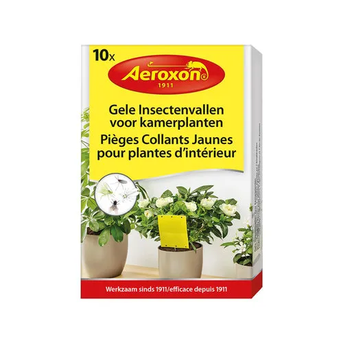Aeroxon Gele insectenvallen voor kamerplanten