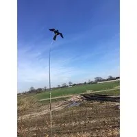 Roofvogelvlieger set 4 meter met draaiende voet en grondanker