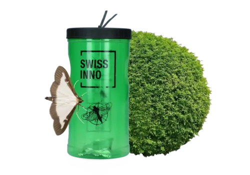 Swissinno Buxusmottenval met feromoon