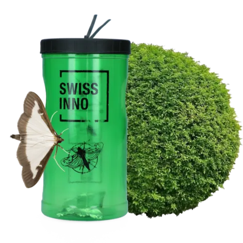 Swissinno Buxusmottenval met feromoon