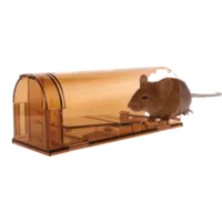 Muizenval levend vangend 18 x 7 x 6 cm | herbruikbaar
