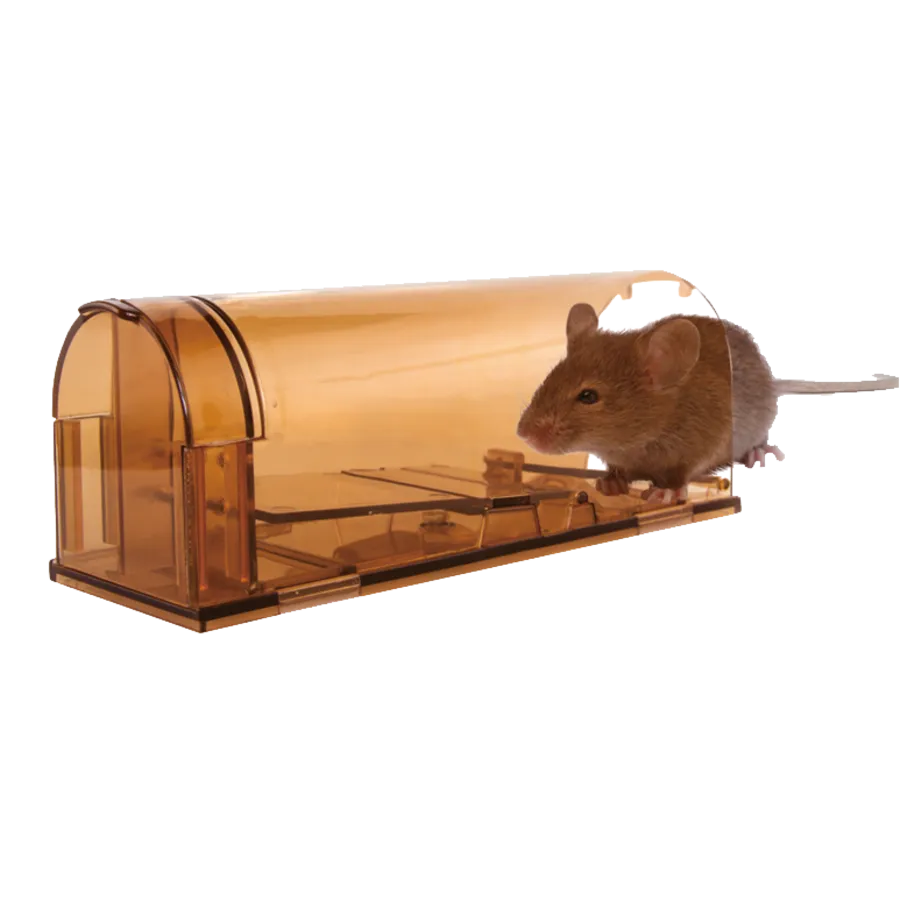 Muizenval levend vangend 18 x 7 x 6 cm | herbruikbaar