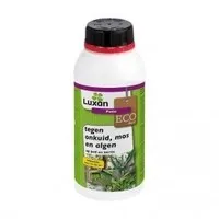 Onkruid-, mos- en algenbestrijder concentraat 500 ml | voor 38 m²