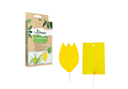 GreenProtect Kamerplanten insectenvallen 10 stuks