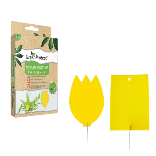GreenProtect Kamerplanten insectenvallen 10 stuks