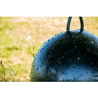 Dazenbal 60 cm | zwarte lokbal voor dazenval met lijm