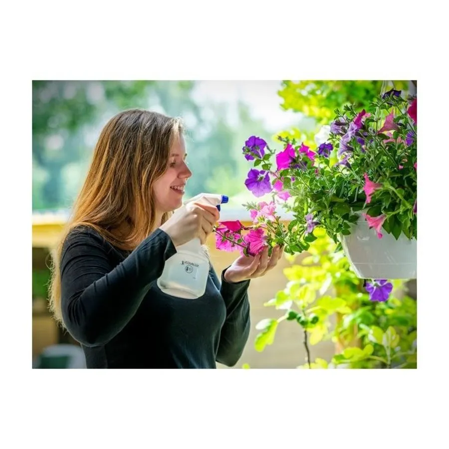 Handsproeier 0,6 liter met 360 graden sproeifunctie voor planten en gewasbescherming