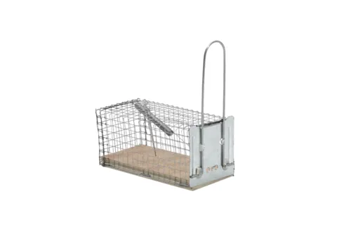 Protect Home Vangkooi muis