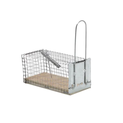 Protect Home Vangkooi muis
