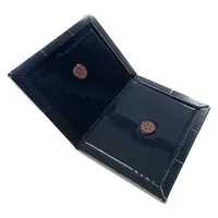Extra sterke zwarte lijmplank A5 | 22 x 15 cm voor kruipende insecten