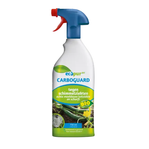 BSI Moestuin fungicide tegen schimmelziekten