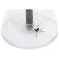 Insecten- en spinnenvanger 72 x 18 cm | Diervriendelijk en gifvrij levend vangen