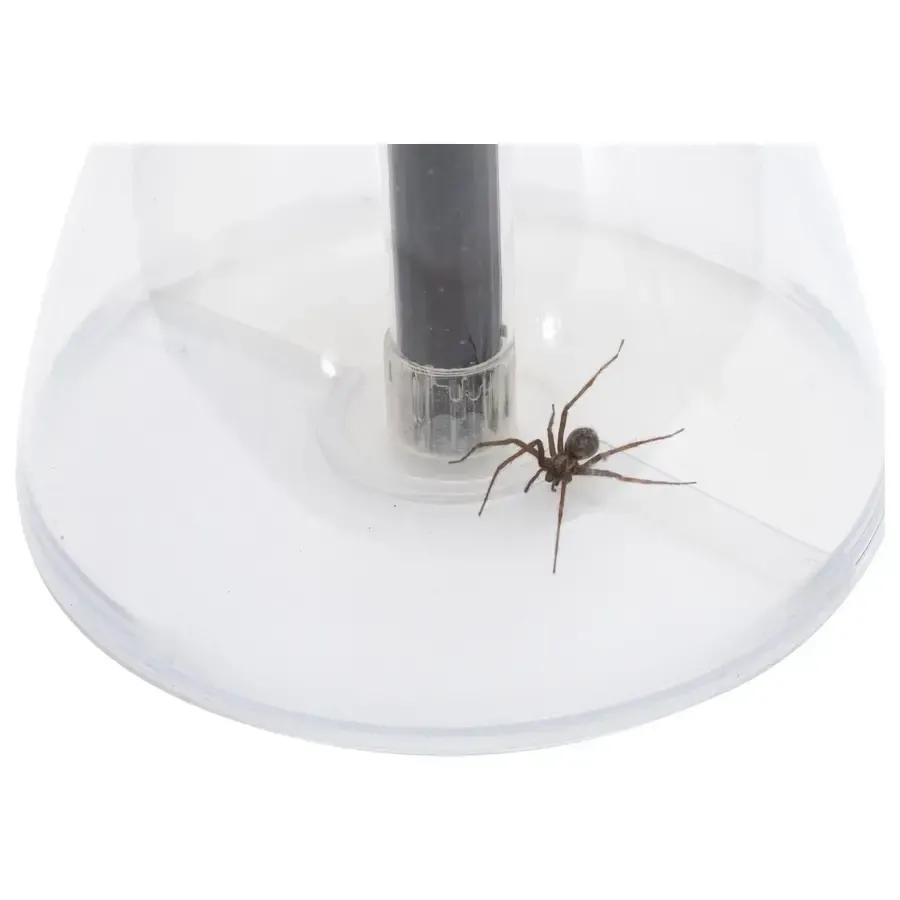 Insecten- en spinnenvanger 72 x 18 cm | Diervriendelijk en gifvrij levend vangen