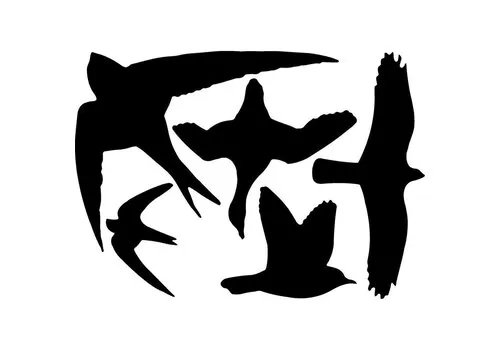 AllesTegenOngedierte.nl Vogel raamstickers 5 stuks
